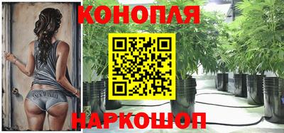прущие крисы Лесосибирск